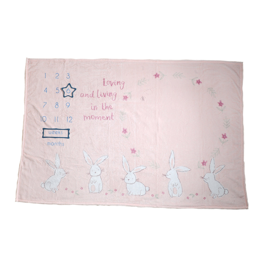 Ziggle Bunnies Milestone Blanket