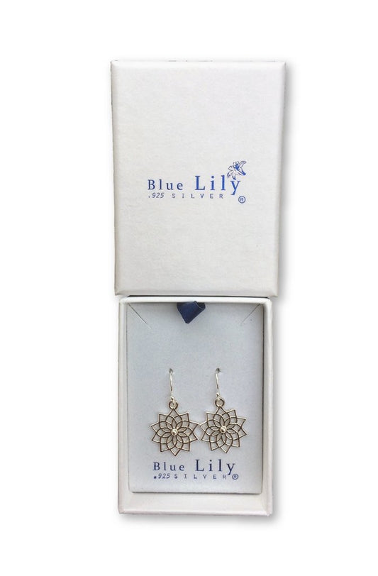 Silver drop earrings