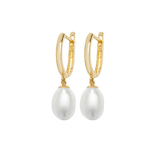 9CT YEL GOLD DROP EARRINGS