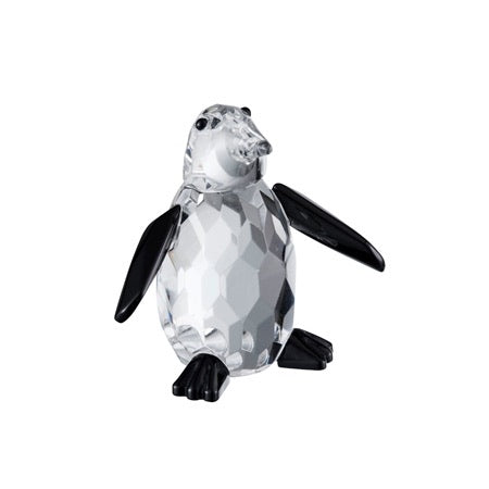 galway penguin 