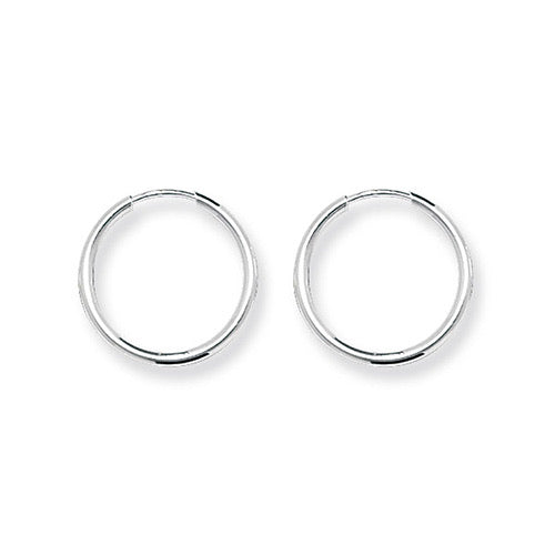 Silver Hoops 